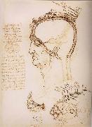 LEONARDO da Vinci Anatomical study of the brain and the scalp Germany oil painting artist